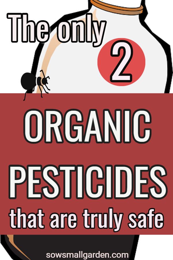 Organic Pesticides Which One To Choose In 2020 Organic Pesticide Organic Insect Repellent Organic Insecticide