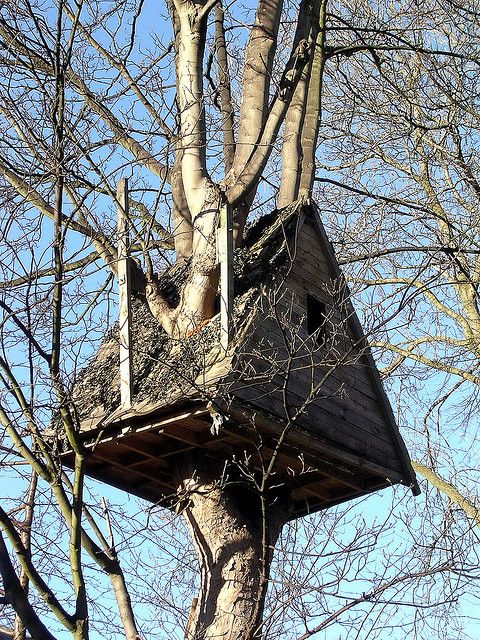 Simple Tree Houses 407 best tree houses images on pinterest | treehouses Simple Tree Houses 407 best tree houses images on pinterest | treehouses
