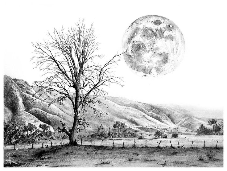 Pencil sketching techniques photo to pencil sketch how to draw trees pencil drawing Pencil sketching techniques photo to pencil sketch how to draw trees pencil drawing
