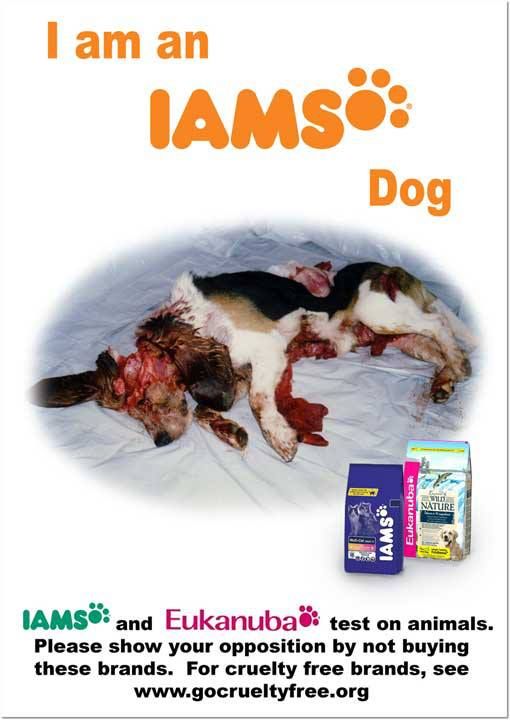 Snopes Beneful Dog Food Snopes Beneful Dog Food