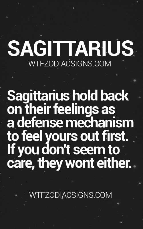 Sagittarius and Taurus Compatibility The Definitive Guide