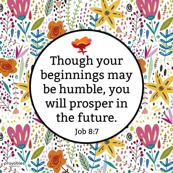 job 7 verse 8 bible job 7 verse 8 bible