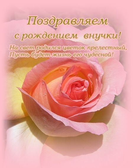 Первый день, поздравление с рождением правнучки в стихах картинки