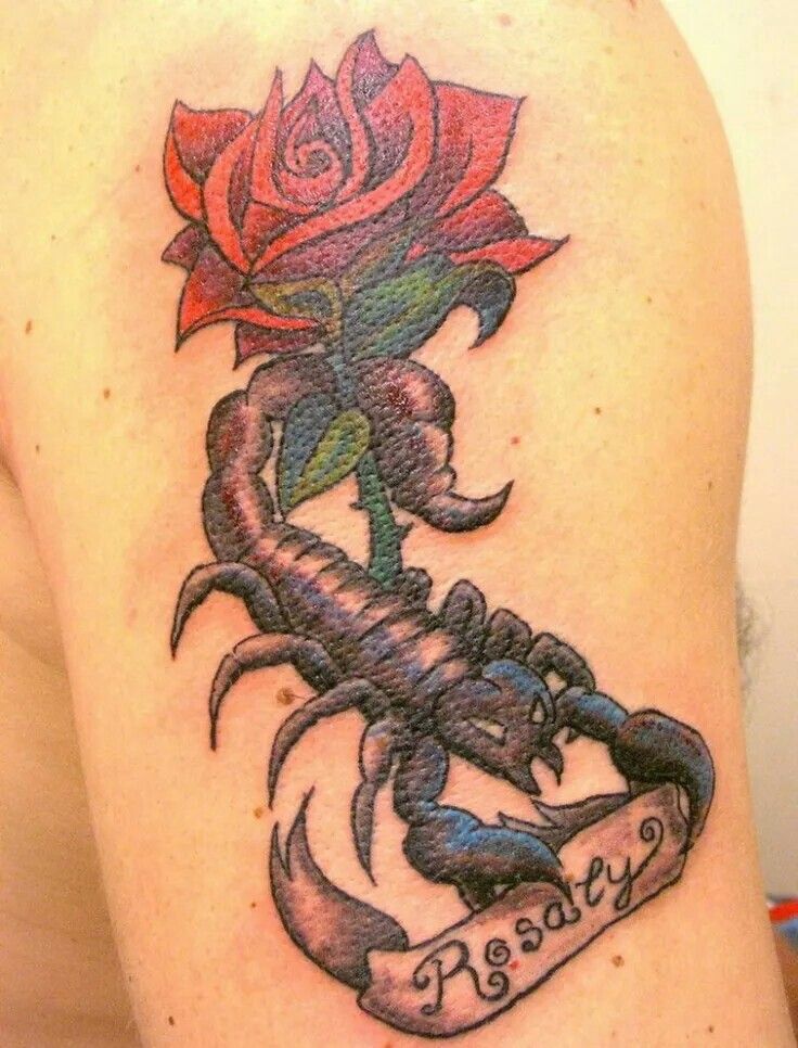 82 best scorpion images on pinterest sew diy and beautiful tattoos 82 best scorpion images on pinterest sew diy and beautiful tattoos
