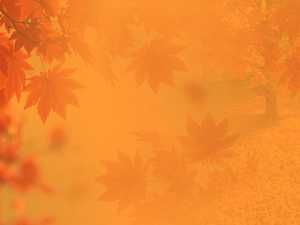 fall ppt template
