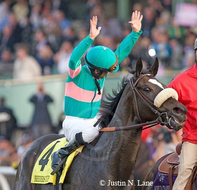 The 25+ best Racing form ideas on Pinterest Triple crown horse - racing form The 25+ best Racing form ideas on Pinterest Triple crown horse - racing form