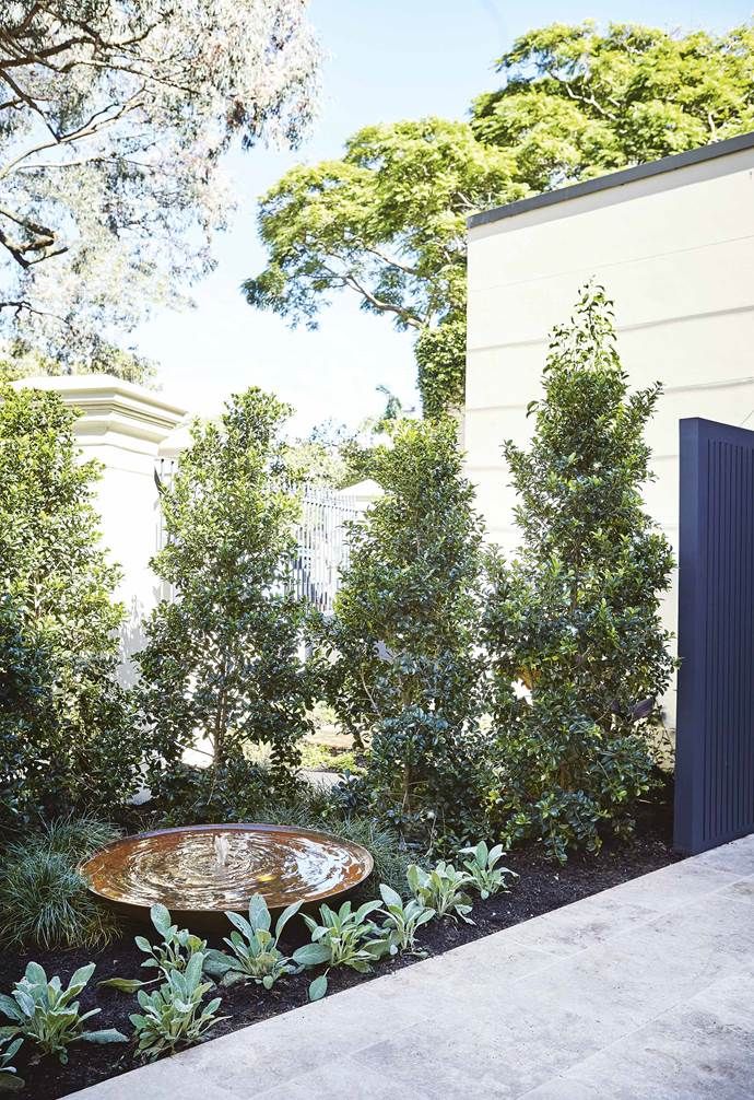 Fifth Season Landscapes' smart use of space results in cohesive front and ba...