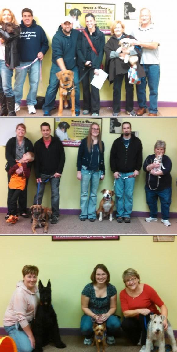 Best Dog Trainers In Michigan Best Dog Trainers In Michigan
