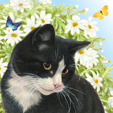 789 best paintings images on pinterest cat art cute kittens and francien van westering