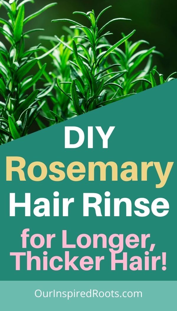Homemade Rosemary Water for Hair and Scalp Health in 2021 | Natural