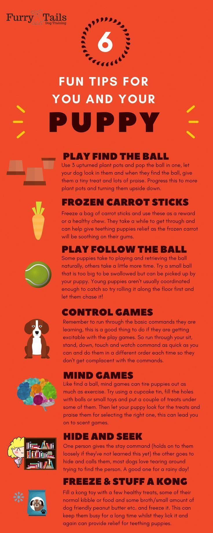 Dog Food Secrets Dog Care Tips Puppy Training Tips Dog Training