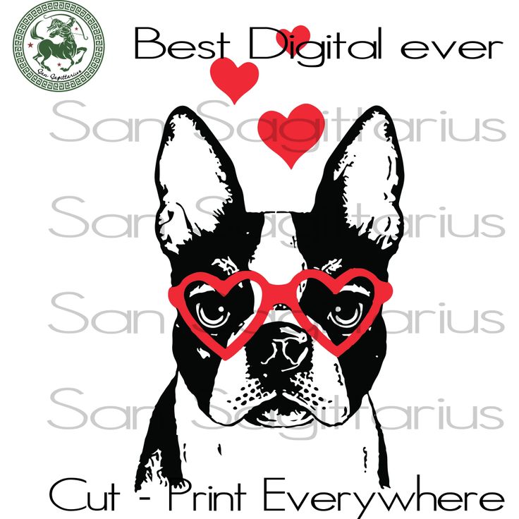 Download Dog Valentine svg, American Boston Terrier, Valentines Day svg, Valentines Day Gift, Dog Mom Svg ...