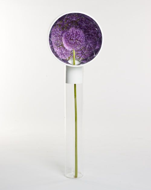 The 22 best Products I Love images on Pinterest Décor ideas, Good - designer mobel baumstammen The 22 best Products I Love images on Pinterest Décor ideas, Good - designer mobel baumstammen