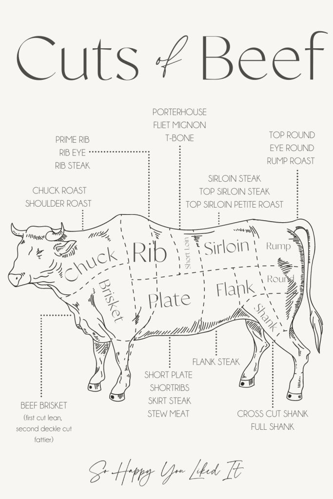 A Diagram Of Cuts Of Beef On A White Background With The Words Cut Of a-diagram-of-cuts-of-beef-on-a-white-background-with-the-words-cut-of