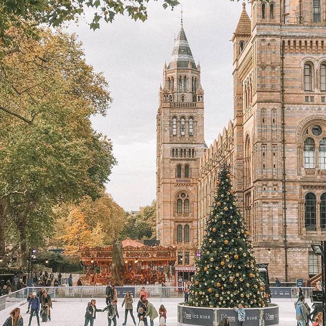 christmas vibes at natural history museum london united living christmas tree