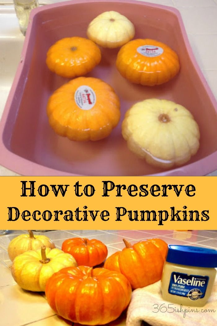 25 best pumpkin decorating ideas on pinterest pumpkin ideas pumpkin decorations and pumkin ideas - Decorating Pumpkins For Halloween 25 best pumpkin decorating ideas on pinterest pumpkin ideas pumpkin decorations and pumkin ideas - Decorating Pumpkins For Halloween