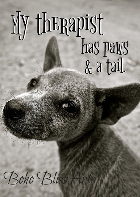My Therapist Has Paws And A Tail Dog Quote And Art Print Digital Extraordinary Download Good Quote About Dog My Therapist Has Paws And A Tail Dog Quote And Art Print Digital Extraordinary Download Good Quote About Dog