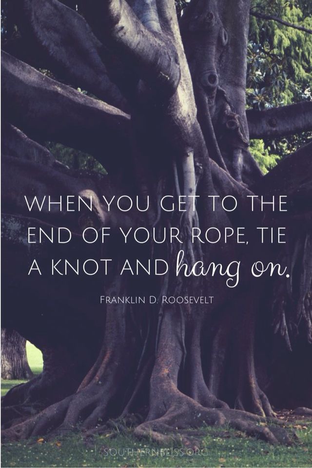 Pin by Emilio. on IQ. | Disney quotes, Walt disney quotes, Words