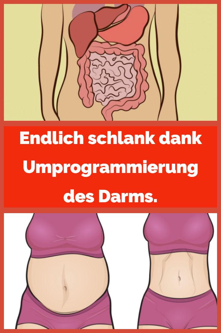 Diät, um Darm und Taille zu verlieren Diät, um Darm und Taille zu verlieren