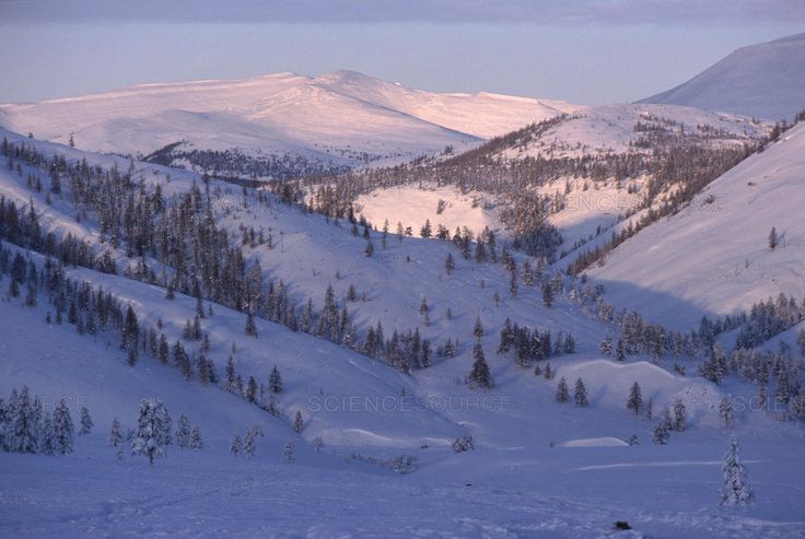 Verkhoyansk Range Siberia Russia 2025 A5793fcf2d83e8e91e2f04f641f31480