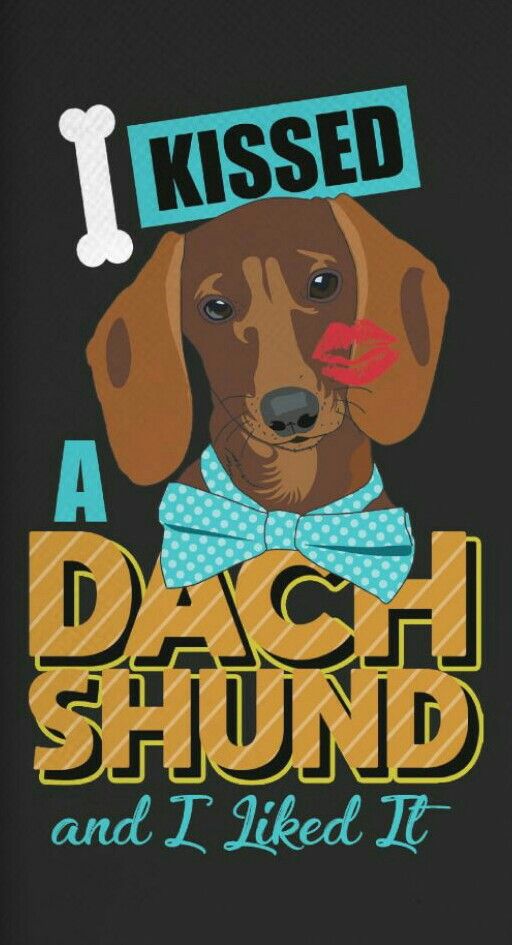 I Kissed A Dachshund And I Liked It Dachshund Breed Funny