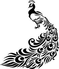 image result for black and white peacock drawing