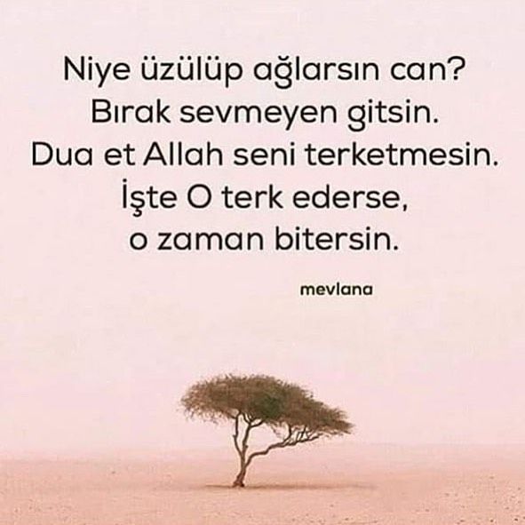 Pin Pa Populer Icerikler Pin Pa Populer Icerikler