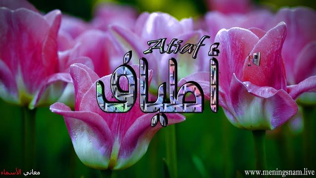 معنى اسم اليسا Plants Bic