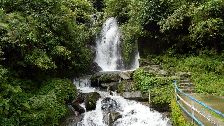 This may contain: a small waterfall in the middle of a forest