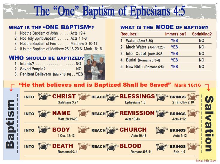 the one baptism of ephesians 4 5 barnes bible charts donnie barnes charts