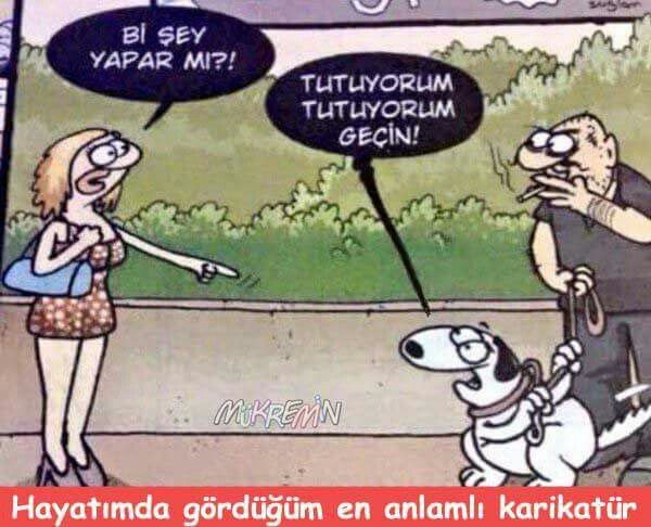 Resim