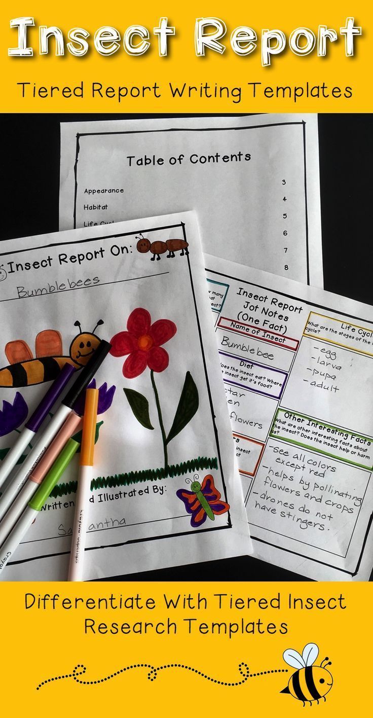Insect reports are fun, informative writing activities for kids! Provide students in first grade, 2nd grade, and 3rd grade with the differentiated insect report templates. This package of printables provides a variety of writing templates that students can use as they develop their informational writing skills. These templates support students as they work through the writing process from making jot notes to creating their drafts and final copies. #insectreport #teachingwithatouchofhoney