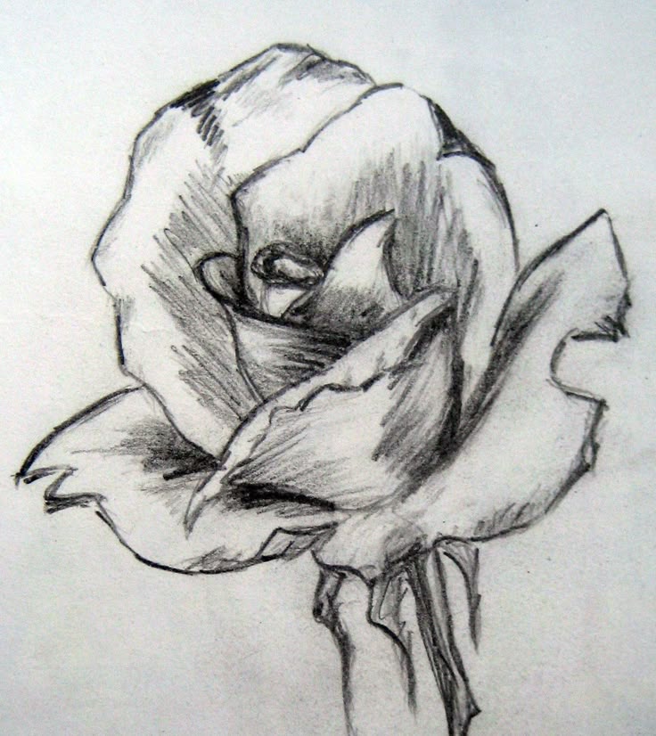 Pencil art drawings Pencil art drawings