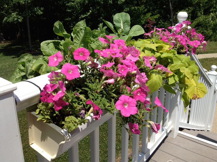 Deck Gardens Deck Gardens