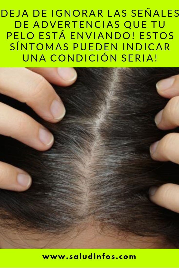 La Crónica de Hoy