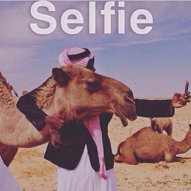 118 best muslim memes ☺ images on pinterest funny stuff, muslim a5c6e79aec34e416d0cfc7110036a62e camels selfie 118 best muslim memes ☺ images on pinterest funny stuff, muslim,Funny Arab Meme Airplane