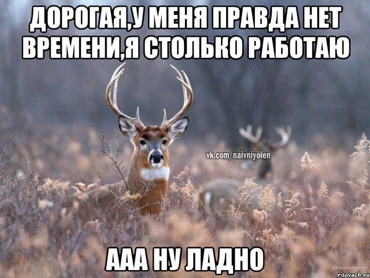 фотографиям картинка пардон звонит фотографий