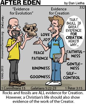 evolution essays creation evolution journal
