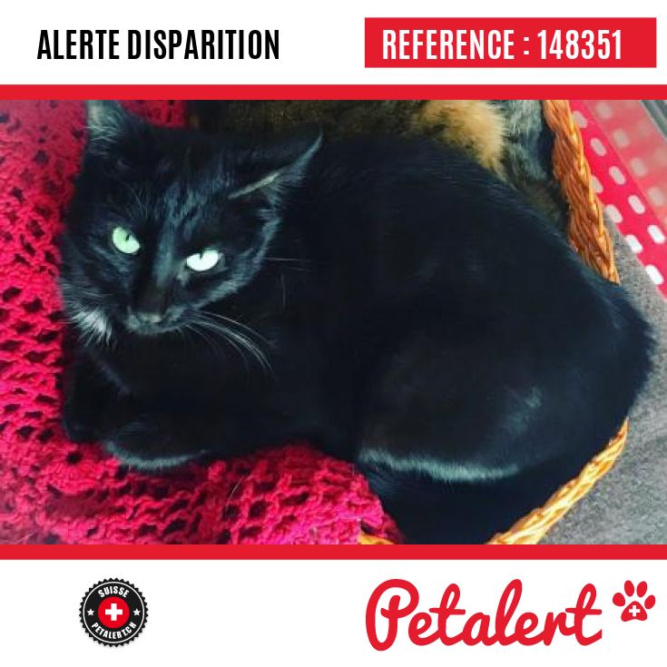Cette Alerte 148351 Est Desormais Close Elle N Est Donc Plus Visible Sur La Plate Forme Petalert Suisse Nous Avons Retrouve Notre Animal Merci Pour Votre A