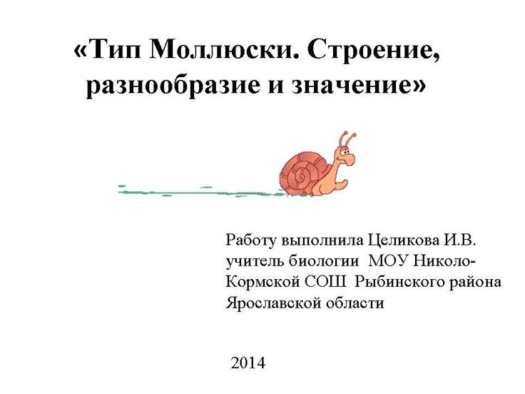Top 10 моллюски ideas and inspiration