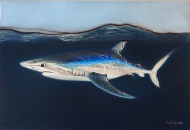 K90 Maia & Borges Sealife Hai Blauhai Blue Shark handbemalt K90 Maia & Borges Sealife Hai Blauhai Blue Shark handbemalt