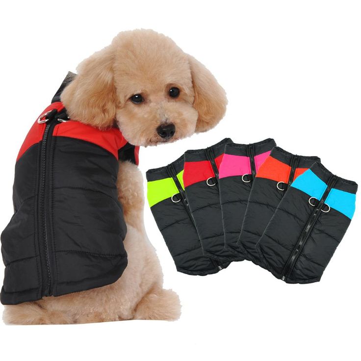 ropa para perros medianos adidas ropa para perros medianos adidas