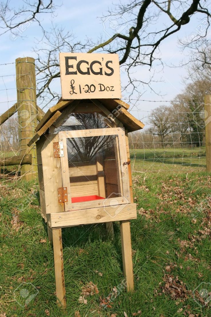Turkey For Sale >> Rough wooden and perspex honesty egg box in rural countryside with eggs for sale sign. Honesty ... Turkey For Sale >> Rough wooden and perspex honesty egg box in rural countryside with eggs for sale sign. Honesty ...