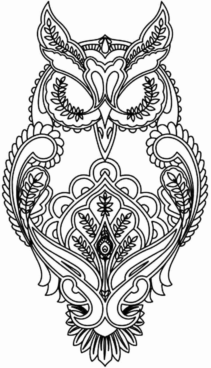 Download Coloring Stuff at Dollar Tree New Adult Color by Number ...