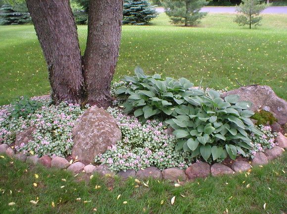 Flower Garden Ideas Around Tree 11 best willow brick circle images on pinterest | landscaping Flower Garden Ideas Around Tree 11 best willow brick circle images on pinterest | landscaping