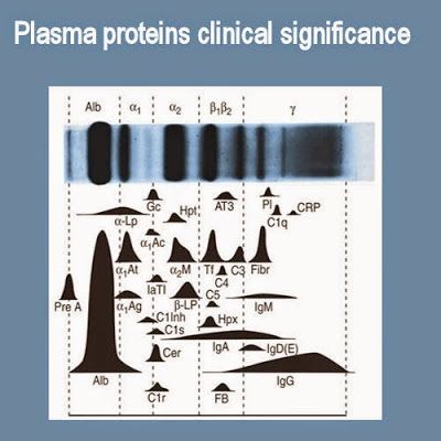 the significance of the clinical chemistry test to veterinarians Learn more about fecal fat test download as pdf in advances in clinical chemistry, the significance of a positive result needs further evaluation, because . the significance of the clinical chemistry test to veterinarians Learn more about fecal fat test download as pdf in advances in clinical chemistry, the significance of a positive result needs further evaluation, because .