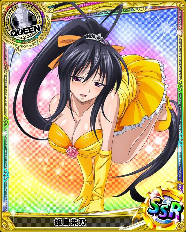 Pin on Highschool Dxd