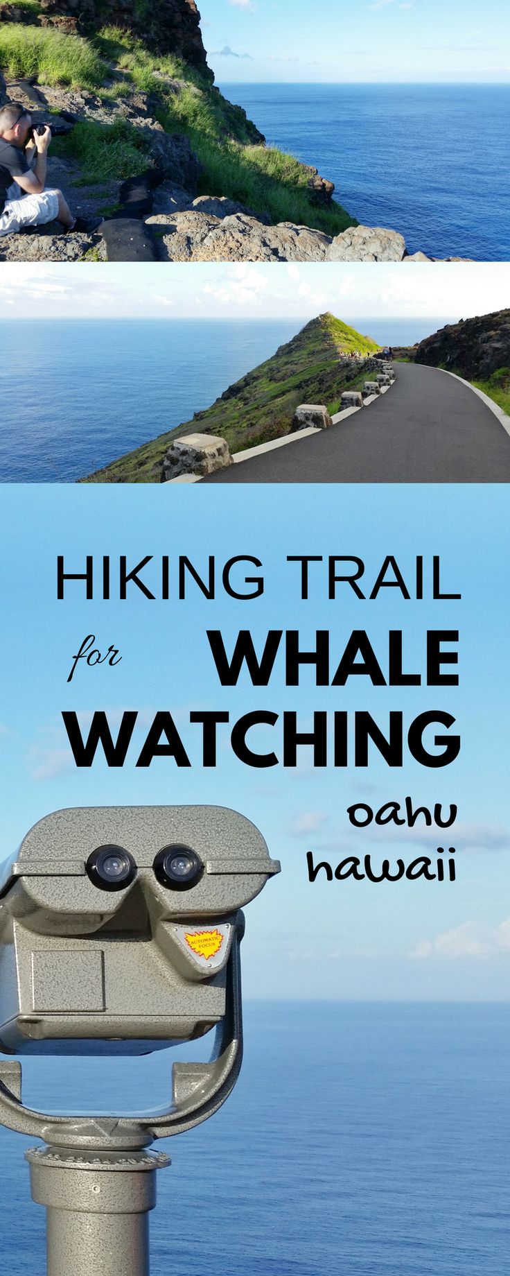 Best Travel Binoculars For Whale Watching Best Travel Binoculars For Whale Watching