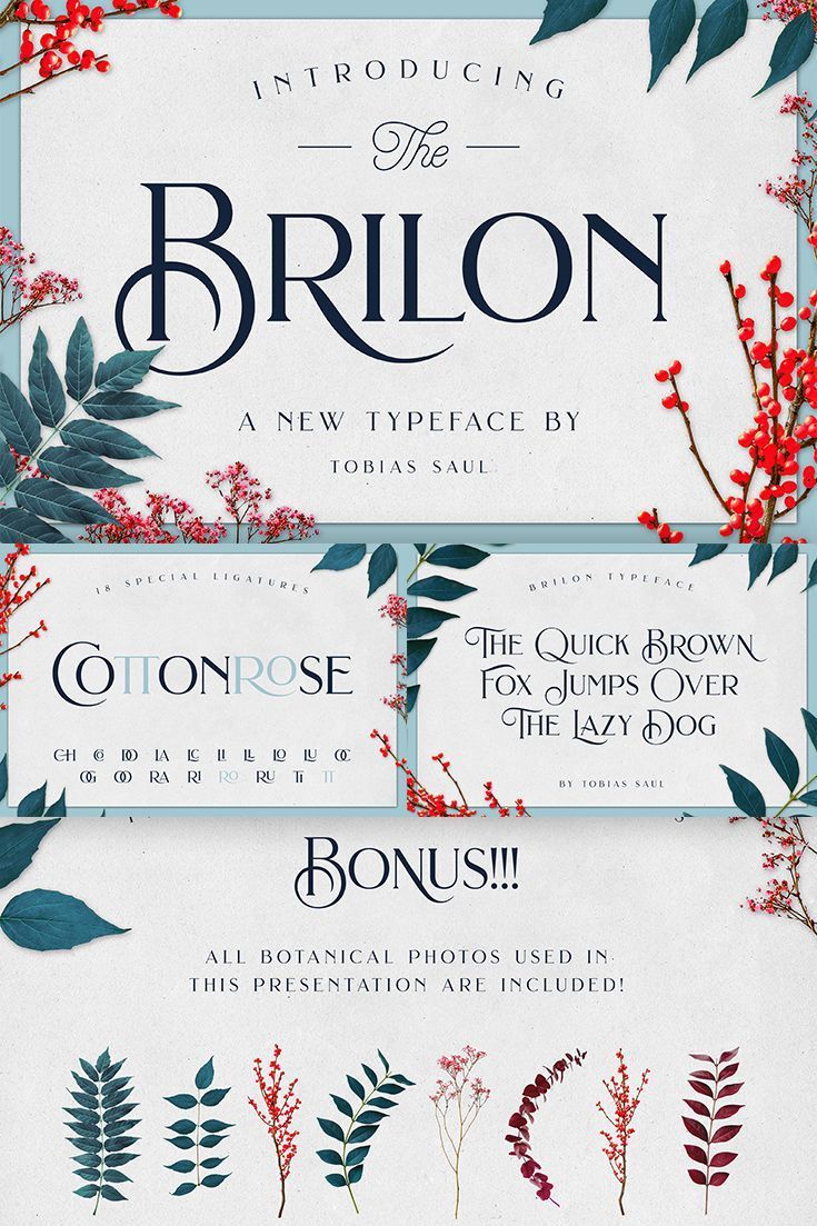 single brilon