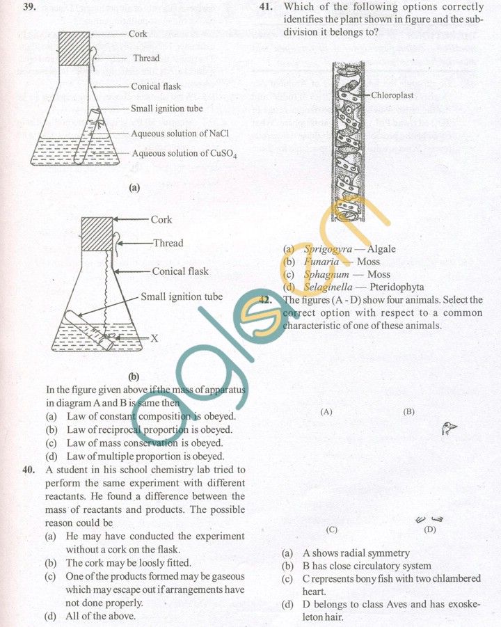 11 best science paper sample net images on Pinterest Sample - sample paper 11 best science paper sample net images on Pinterest Sample - sample paper